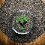 চিয়া  সিড - Image 3